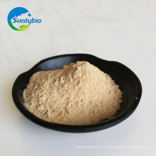 Chinese Manufacturer poultry feed autolyzed yeast for sale